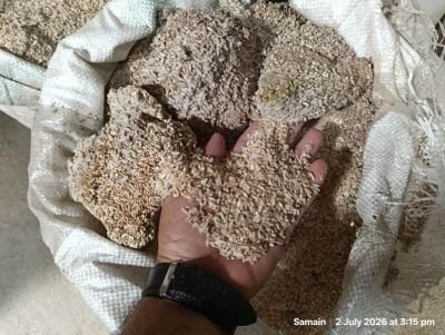 Rain Water Affected Due to Storm Stock of Rice, Rice Tukda & Jute Bags
